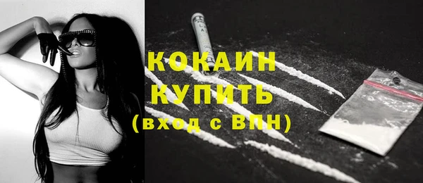 трава Арсеньев