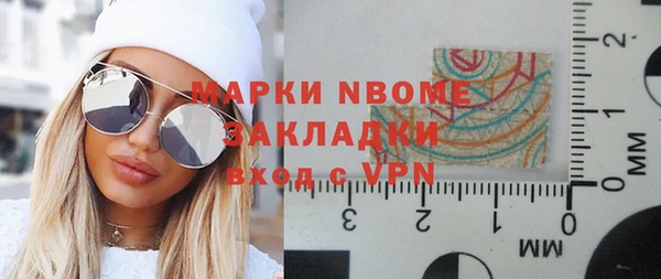 прущие грибы Аркадак