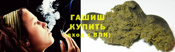 прущие грибы Аркадак